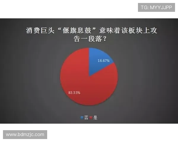 《围绕赛事展开的全方位战略分析与参赛经验分享》